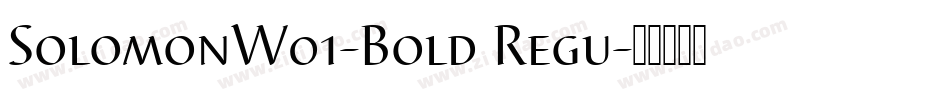 SolomonW01-Bold Regu字体转换